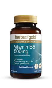 Vitamin B5 500mg 60 Vege Caps Herbs of Gold