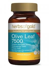 Olive Leaf 7500 60 Tabs Herbs of Gold