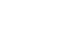  lifestream