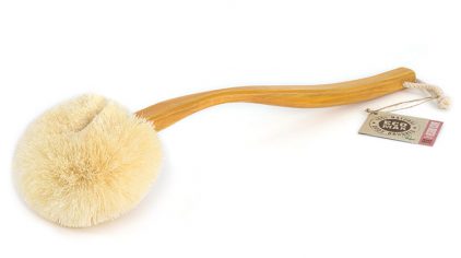 Back Brush w/Long Handle ECOMAX