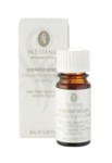 Celebration Lifestyle Blend 9ml In Essence