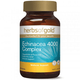Echinacea 4000 Complex 30 Tabs Herbs of Gold