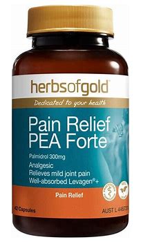 Pain Relief PEA Forte 42 caps Herbs of Gold